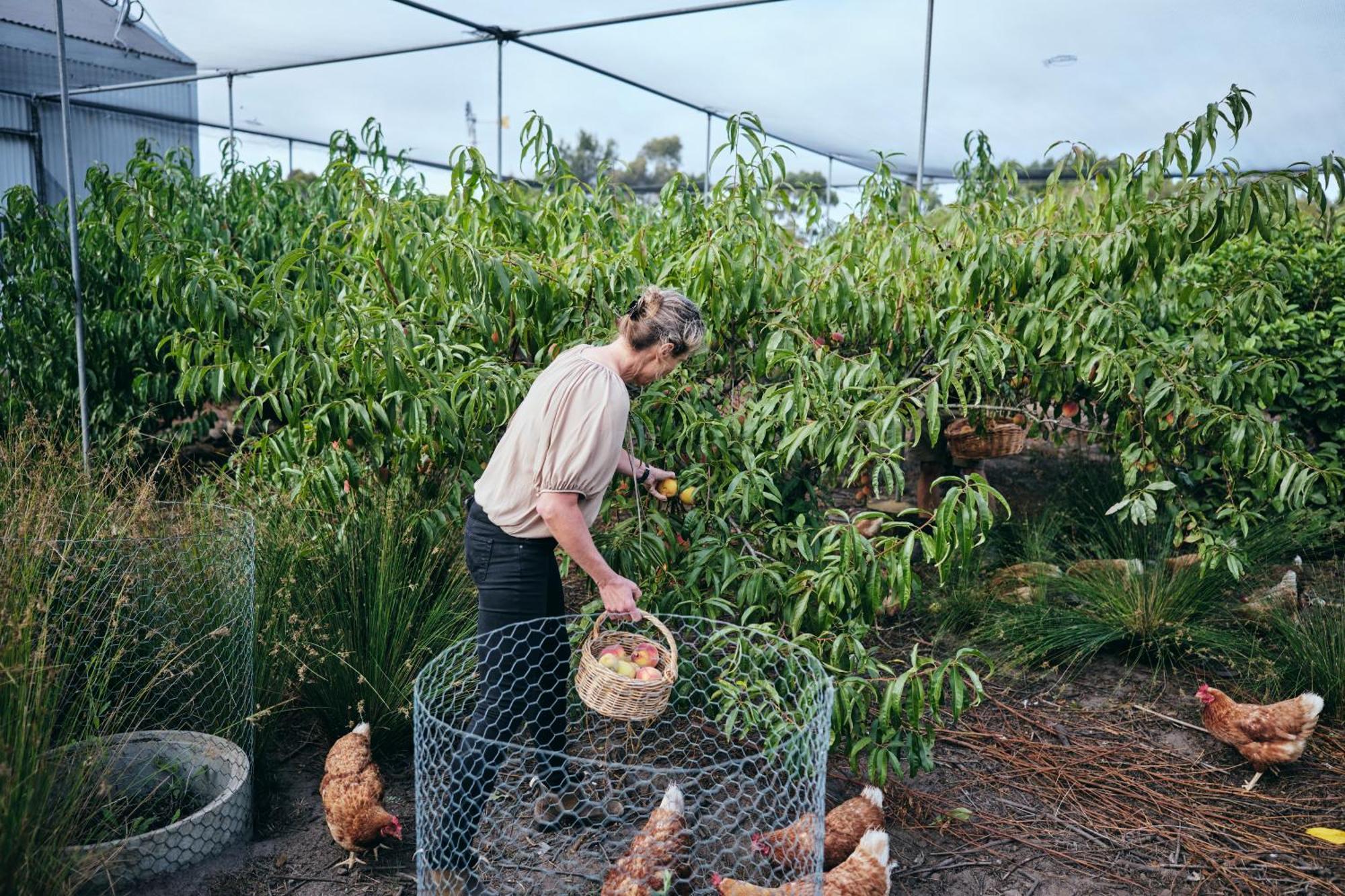Burnside Organic Farm Villa Margaret River Eksteriør bilde