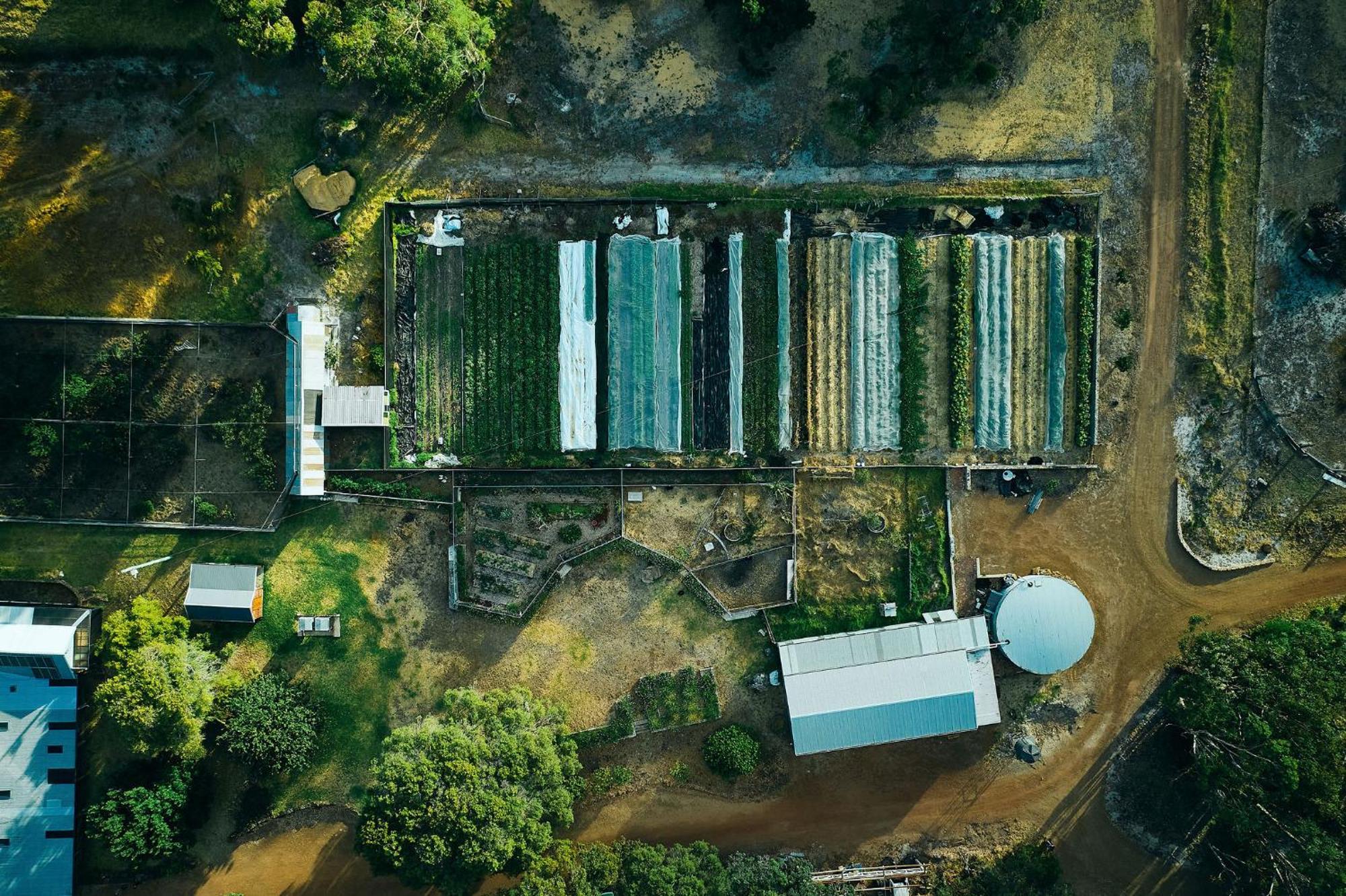Burnside Organic Farm Villa Margaret River Eksteriør bilde